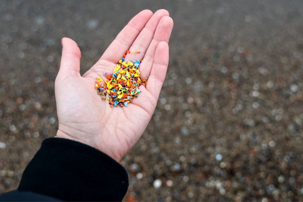 john jaeger north babylon Microplastics in Forest Soils
